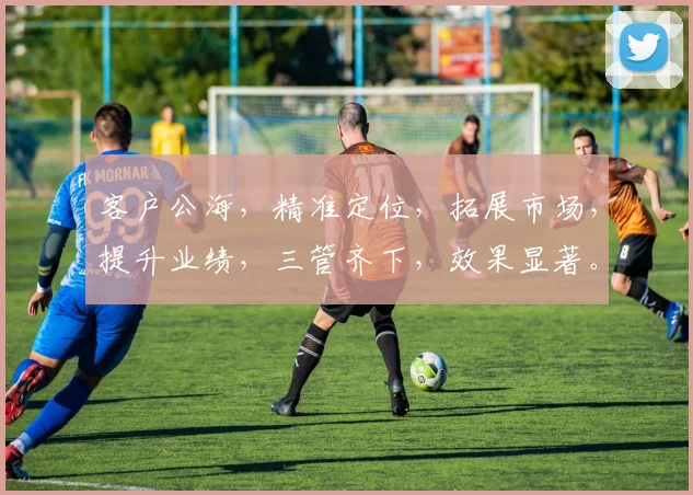 客户公海，精准定位，拓展市场，提升业绩，三管齐下，效果显著。