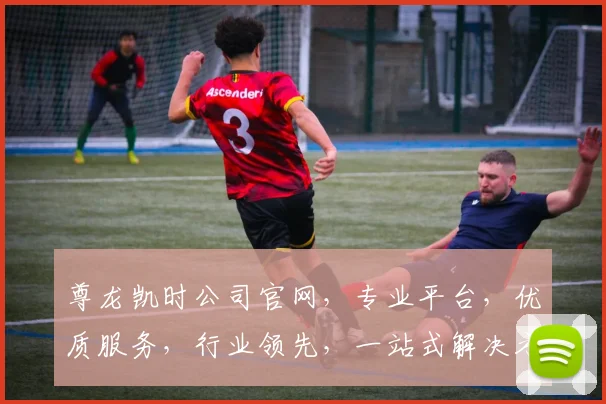 尊龙凯时公司官网，专业平台，优质服务，行业领先，一站式解决方案，值得信赖