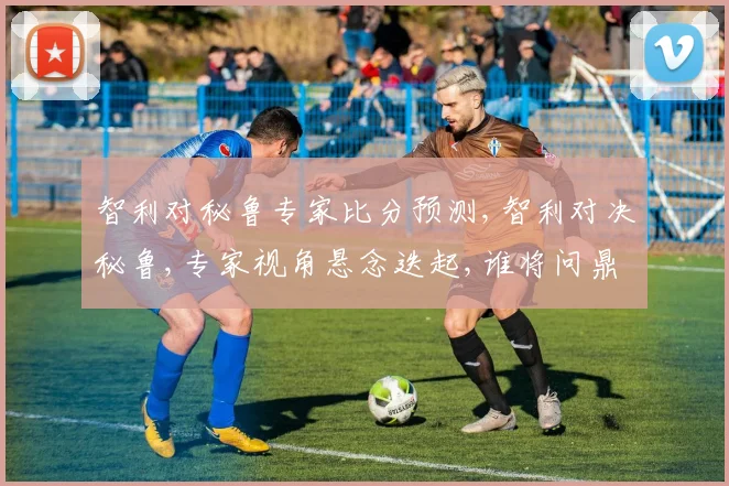 智利对秘鲁专家比分预测,智利对决秘鲁,专家视角悬念迭起,谁将问鼎
