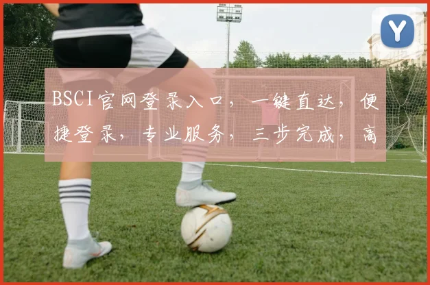 BSCI官网登录入口，一键直达，便捷登录，专业服务，三步完成，高效体验，轻松登录
