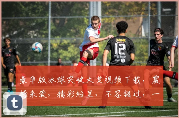 豪华版冰球突破大奖视频下载，震撼来袭，精彩纷呈，不容错过，一键下载，享受极致视听盛宴