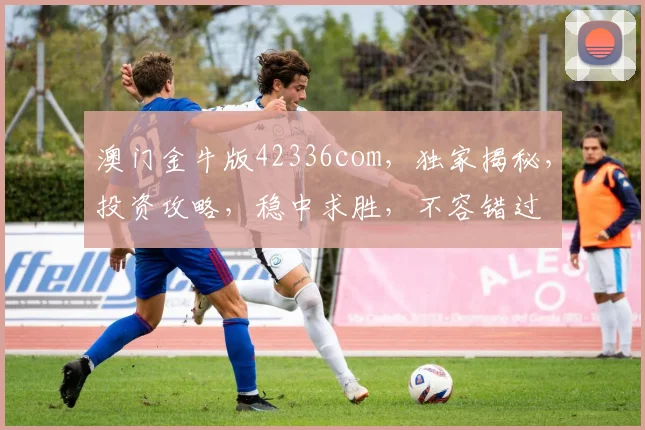 澳门金牛版42336com，独家揭秘，投资攻略，稳中求胜，不容错过