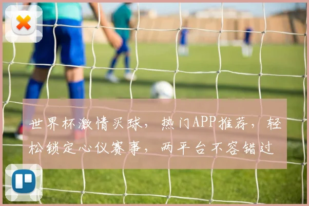 世界杯激情买球，热门APP推荐，轻松锁定心仪赛事，两平台不容错过，助你畅享足球盛宴