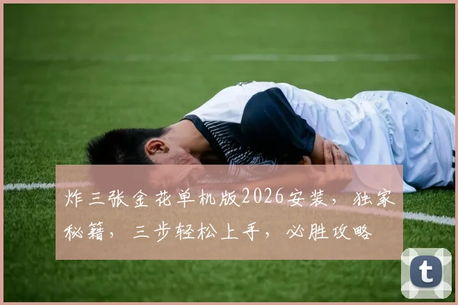 炸三张金花单机版2026安装，独家秘籍，三步轻松上手，必胜攻略